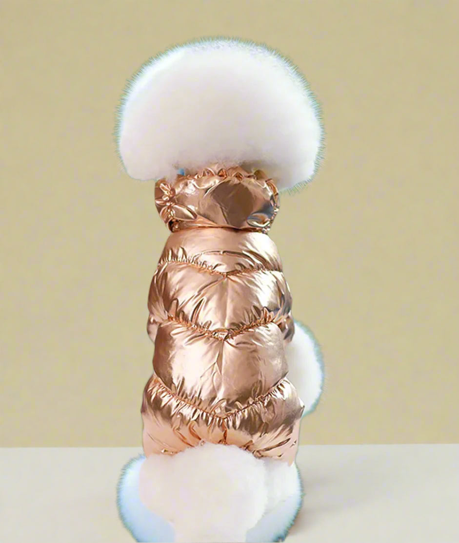 Rose Gold color Cat Jacket