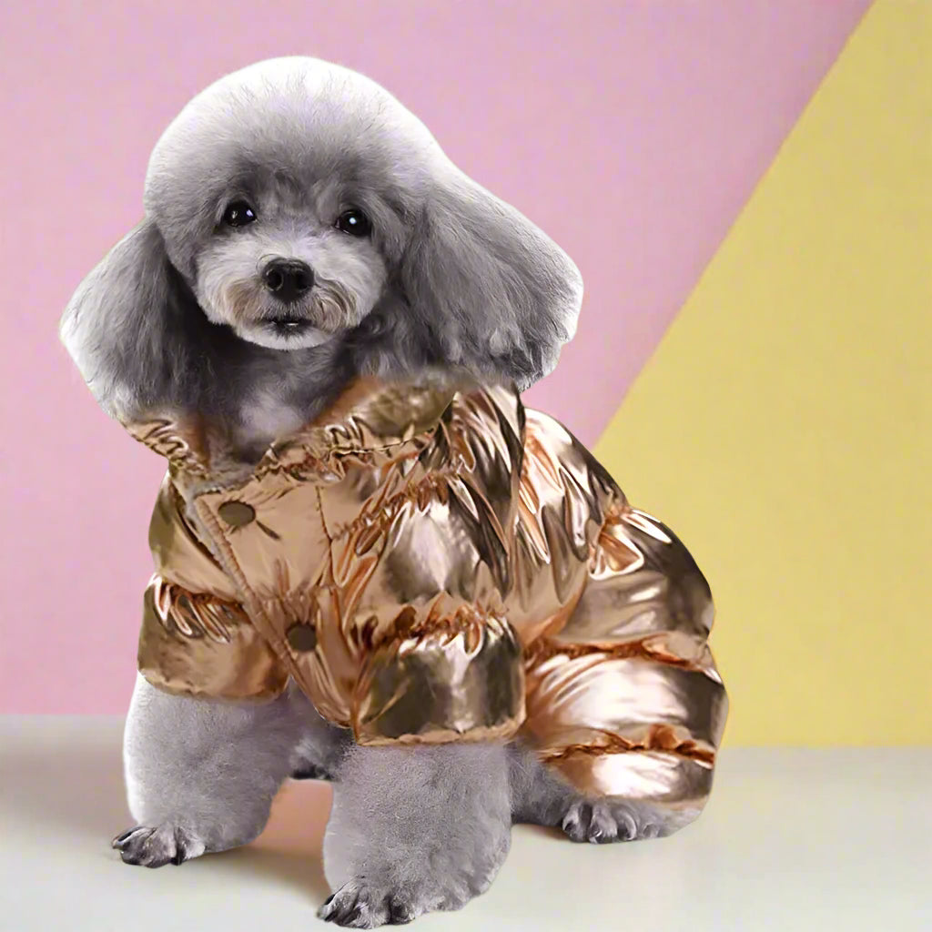 Rose Gold color Cat Winter Jacket