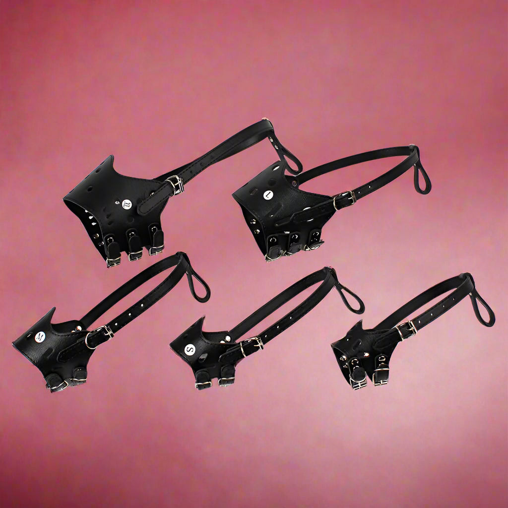 Set of black leather dog muzzle, harness, and choker