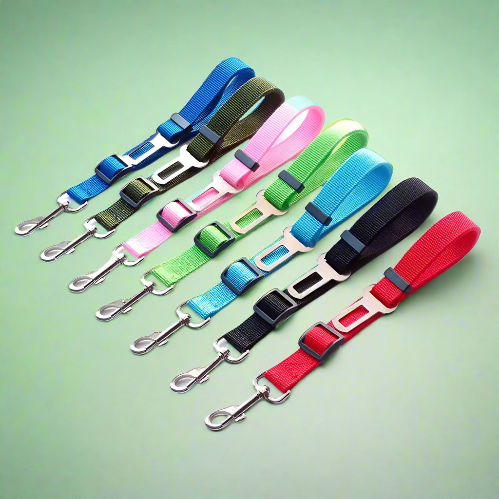 Set of colorful dog leashes for cars