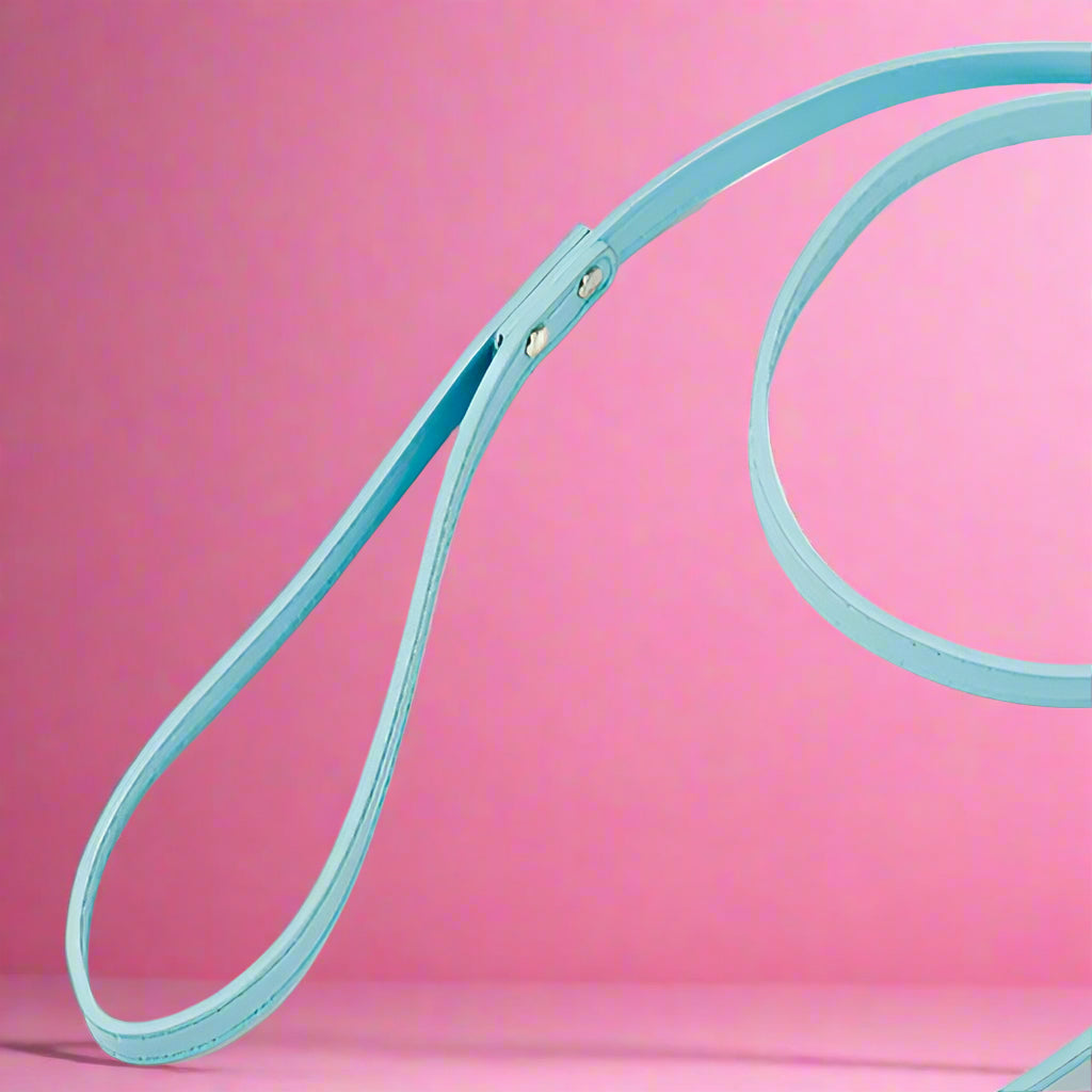 Sky color leash for dogs