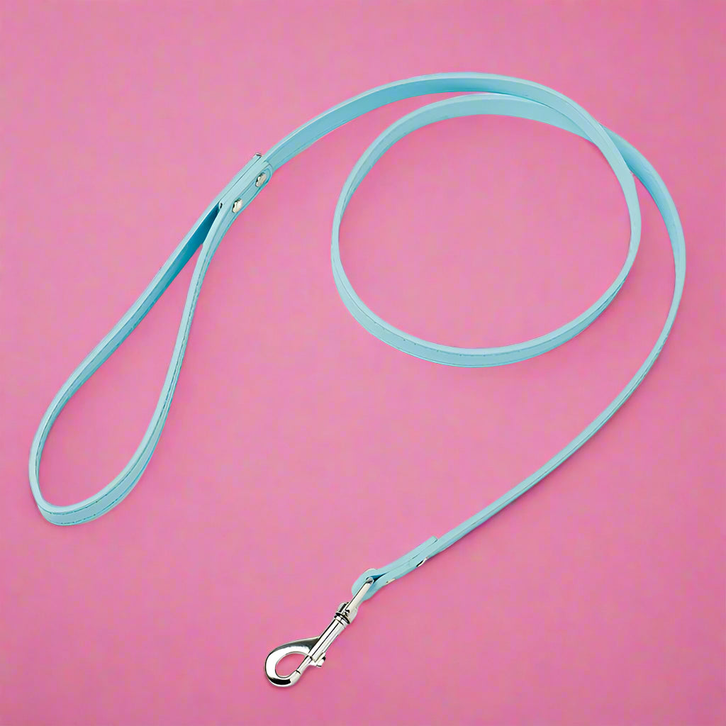 Sky color leash for dogs and pets
