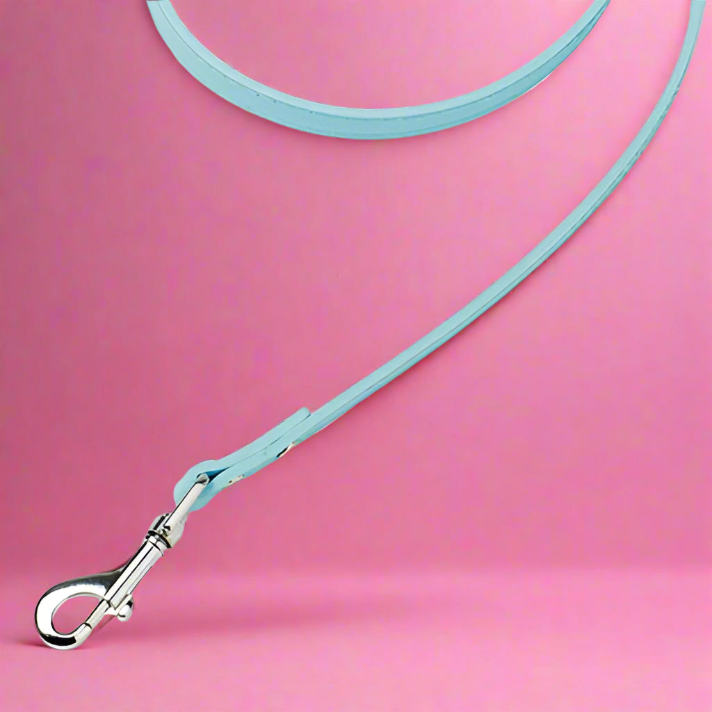 Sky color leash for pet dogs