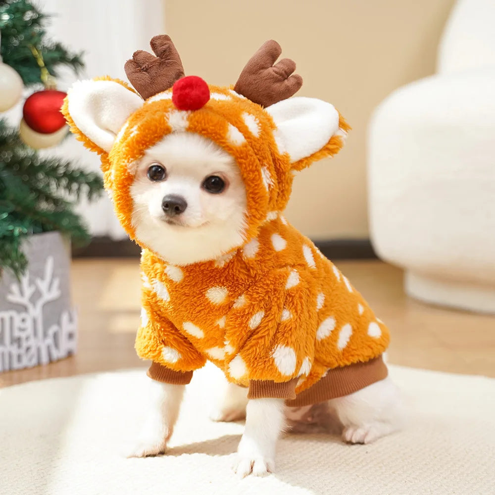 Small dog wearing a deer costume with antlers and a polka dot body, standing