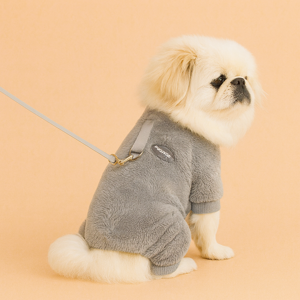 Small dog wearing a gray fleece coat on a beige background