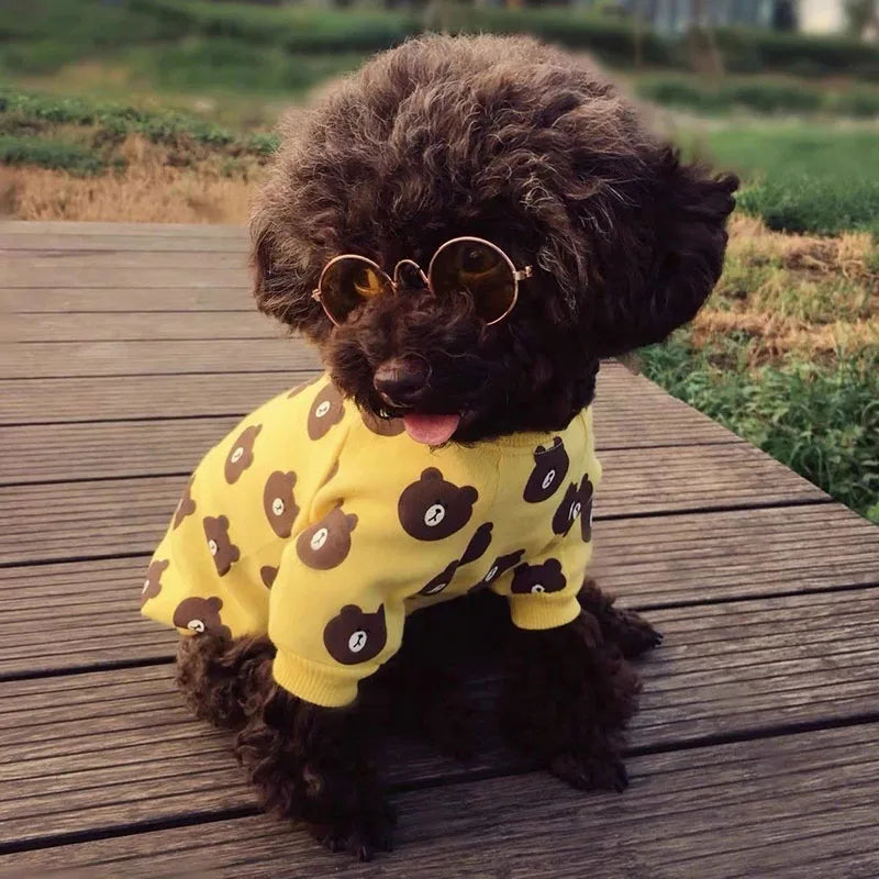 Small dog wearing brown sunglasses