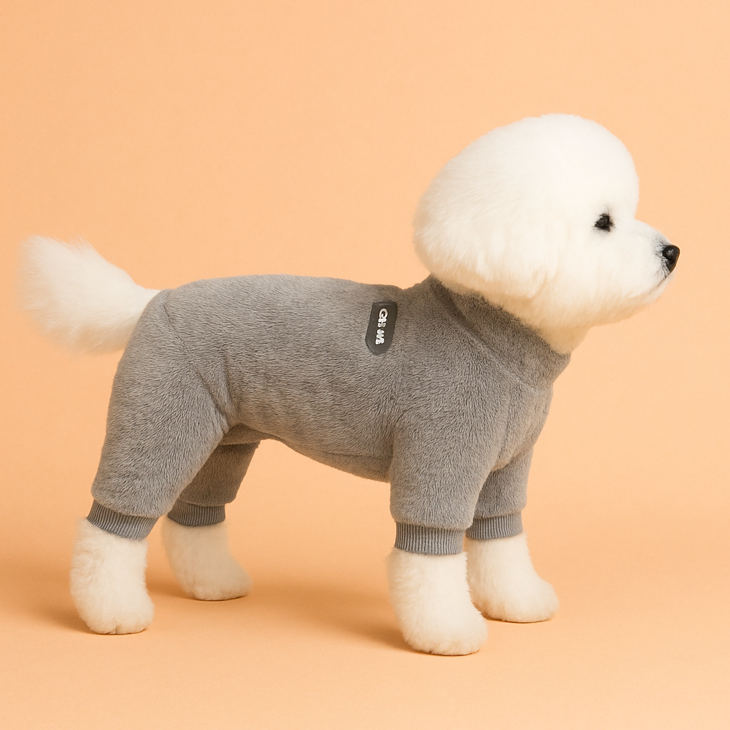 Small white dog wearing a gray outfit on an orange background