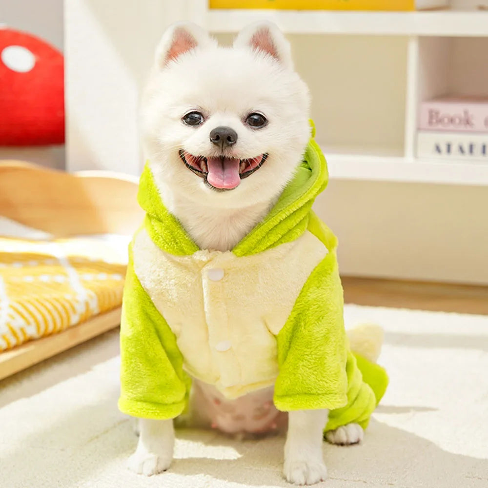 Small white dog wearing a green onesie indoors