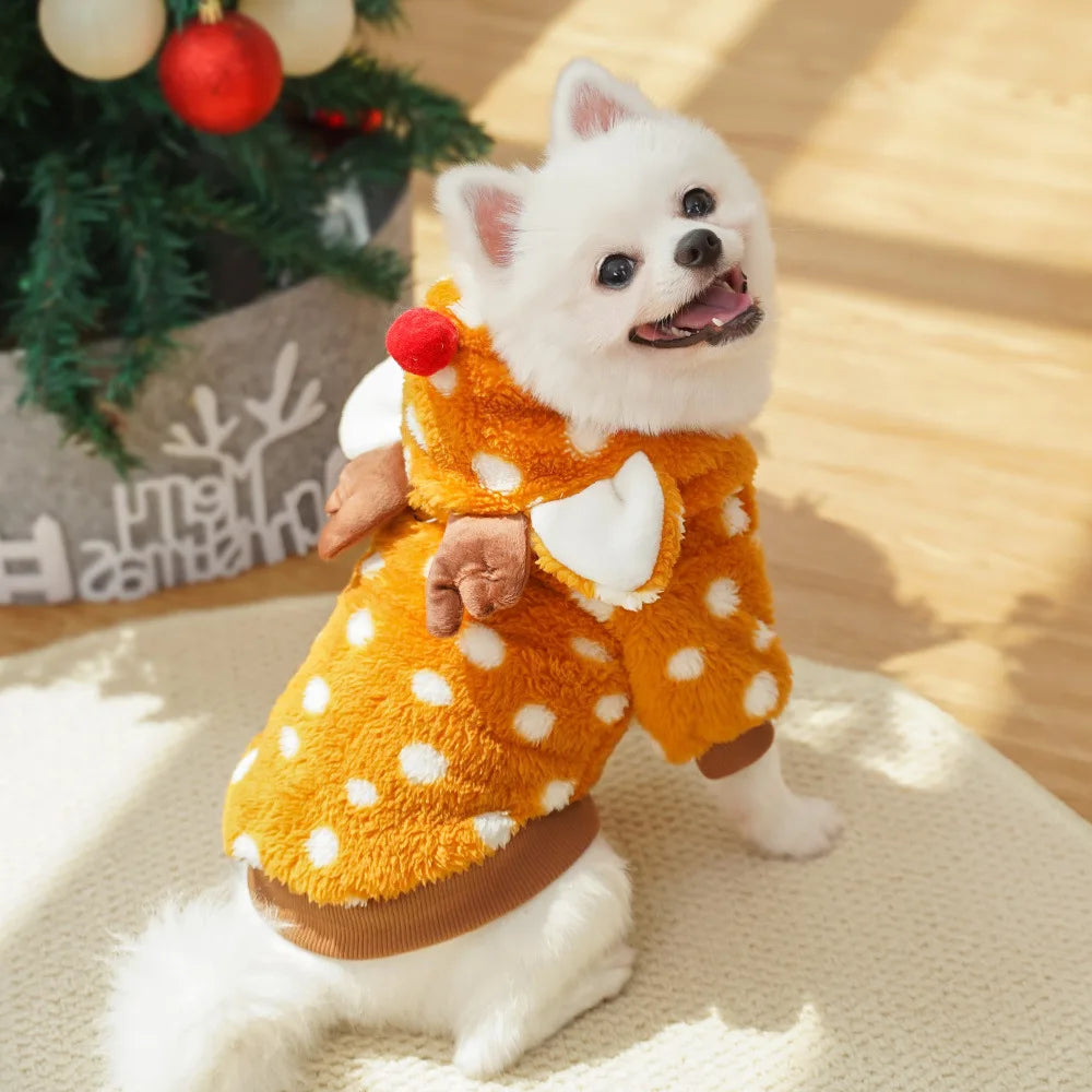 Small white dog wearing an orange polka dot outfit with a Christmas tree in the background