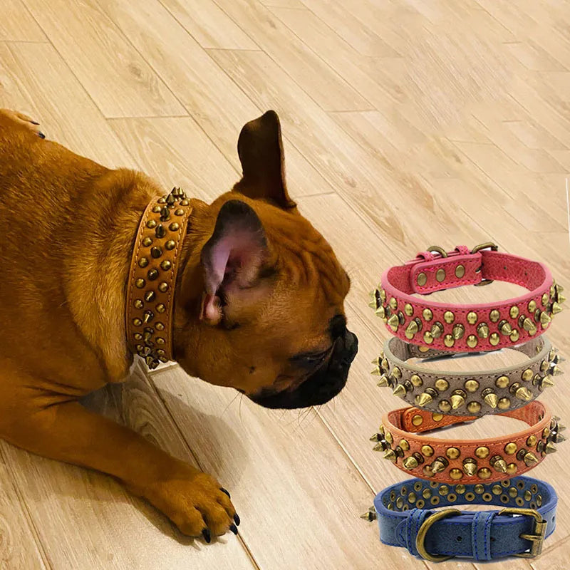 Spiked Leather Dog Collar for All Breeds