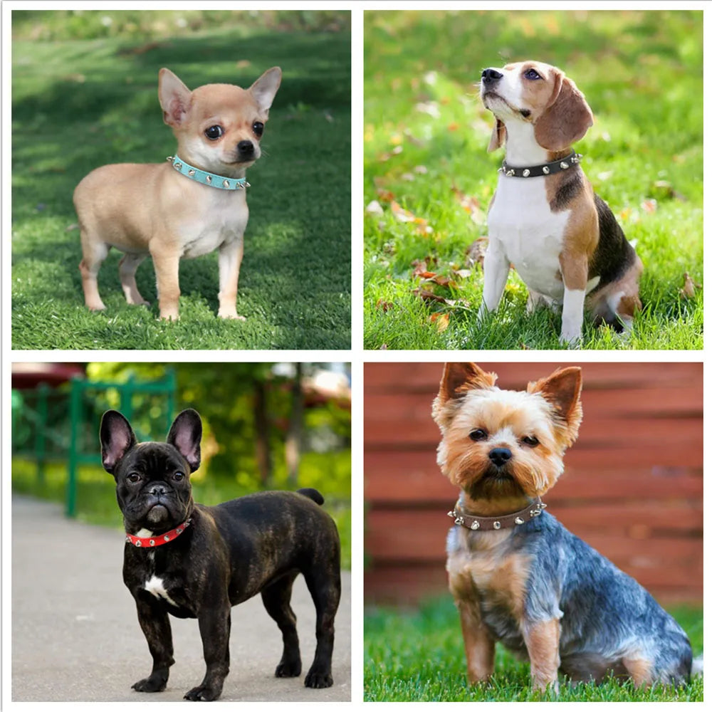 Spiked PU Leather Dog Collar for Small Dogs