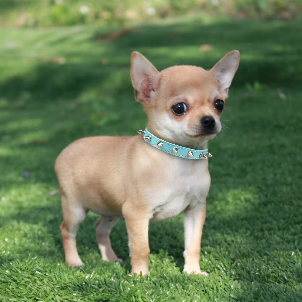 Spiked PU Leather Dog Collar for Small Dogs blue 