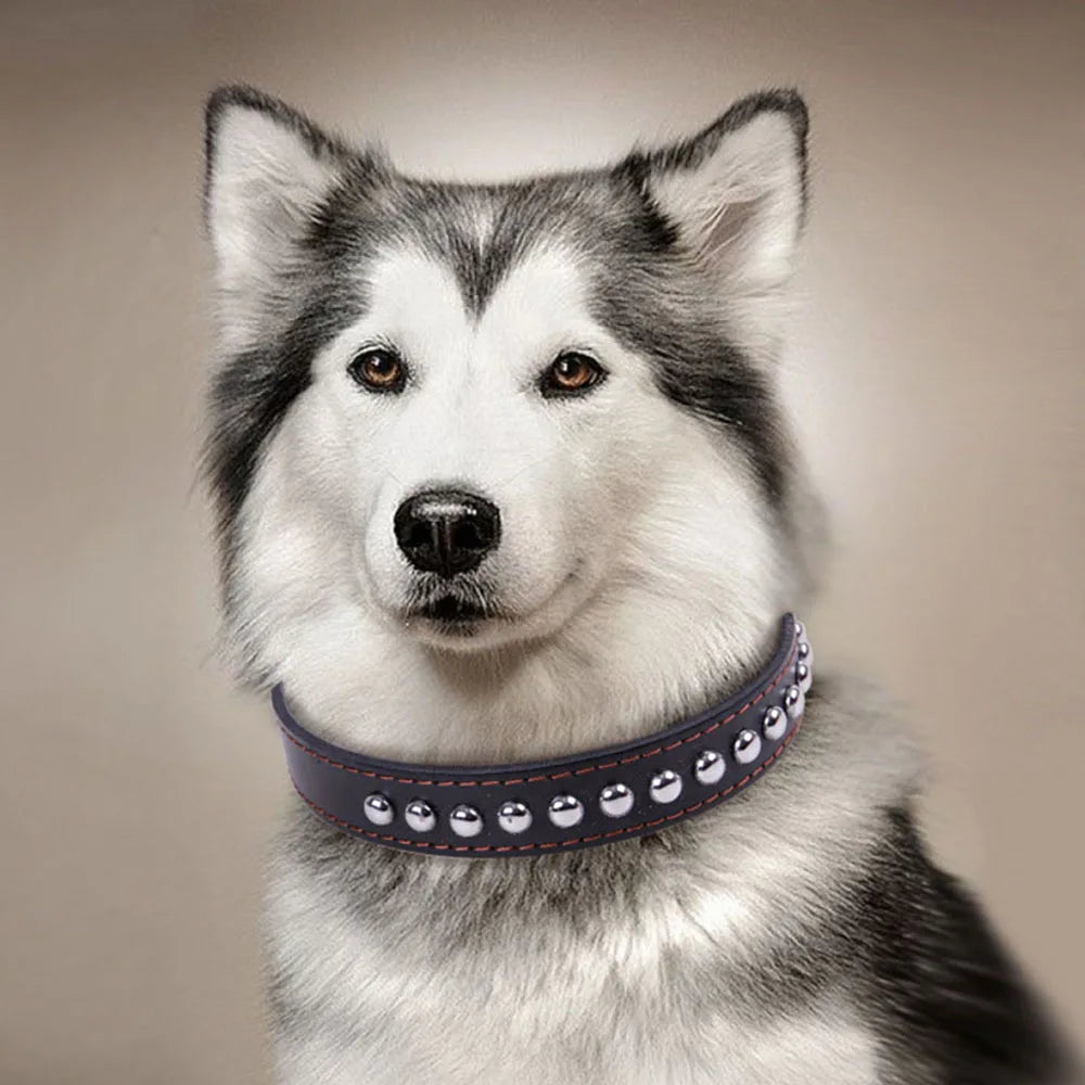 Studded PU Leather Dog Collar for Big Dogs - Black