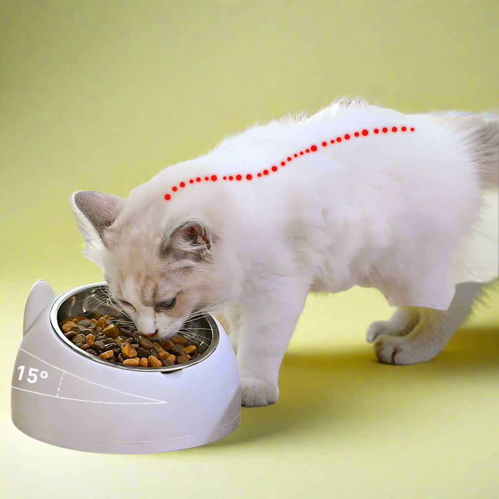 Tilted Pet Bowl Non-Slip Raised Cat Dog Feeder