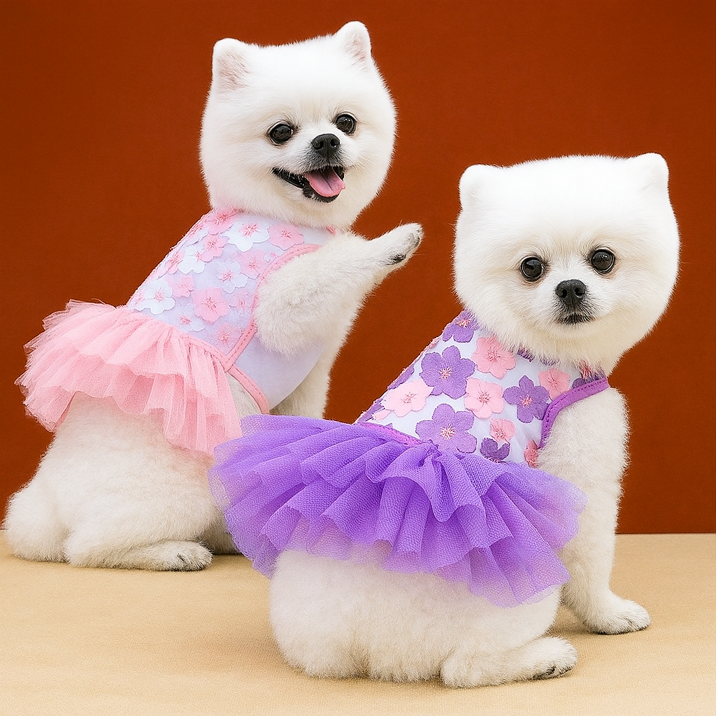 Two small white dogs wearing pink and purple tutu dresses on a brown background