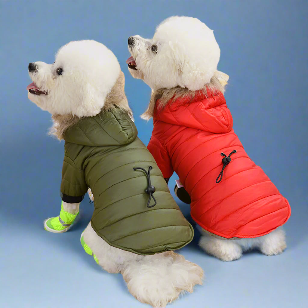 Warm Padded Winter Dog Coat
