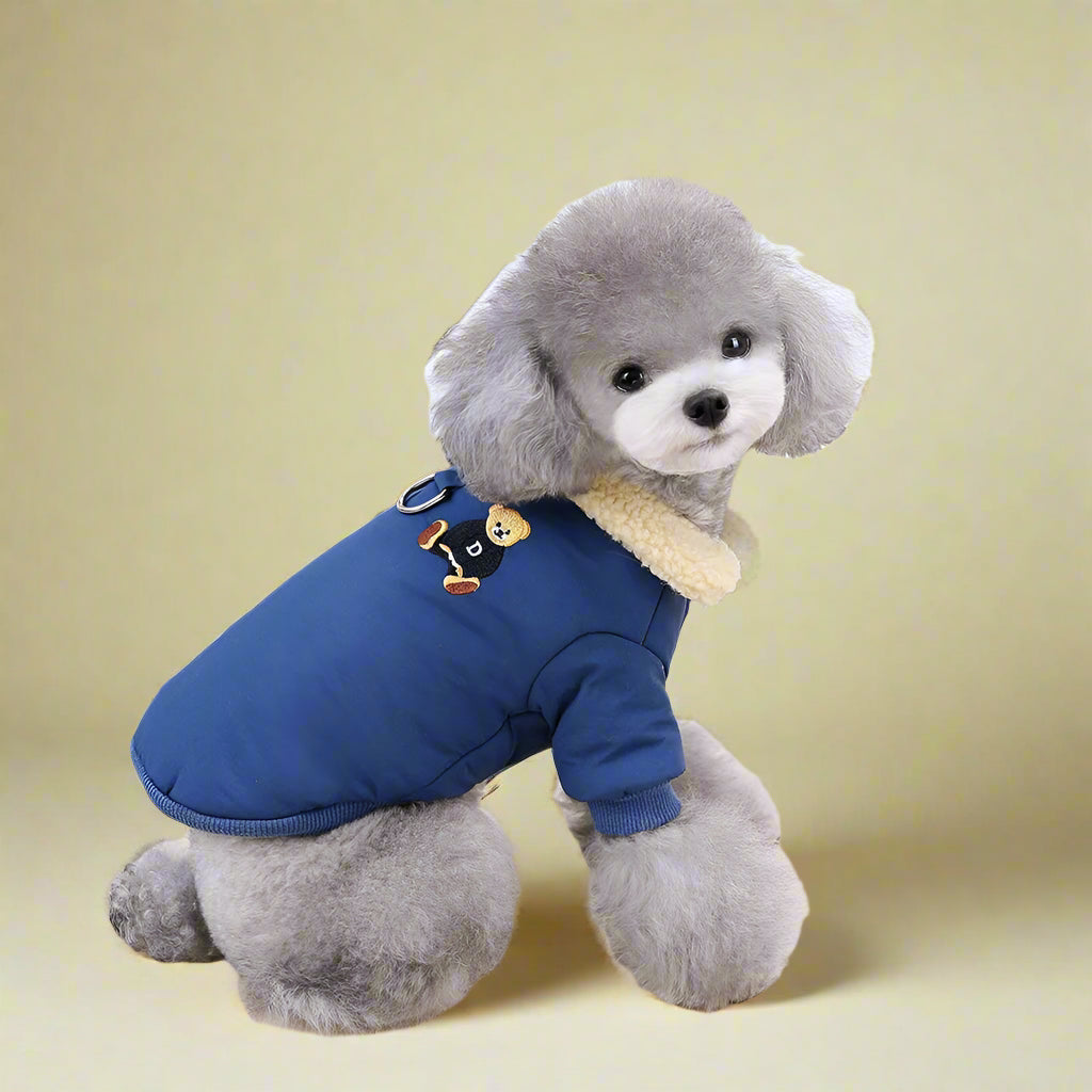 Warm Waterproof Dog Coat for Small Dogs & Cats