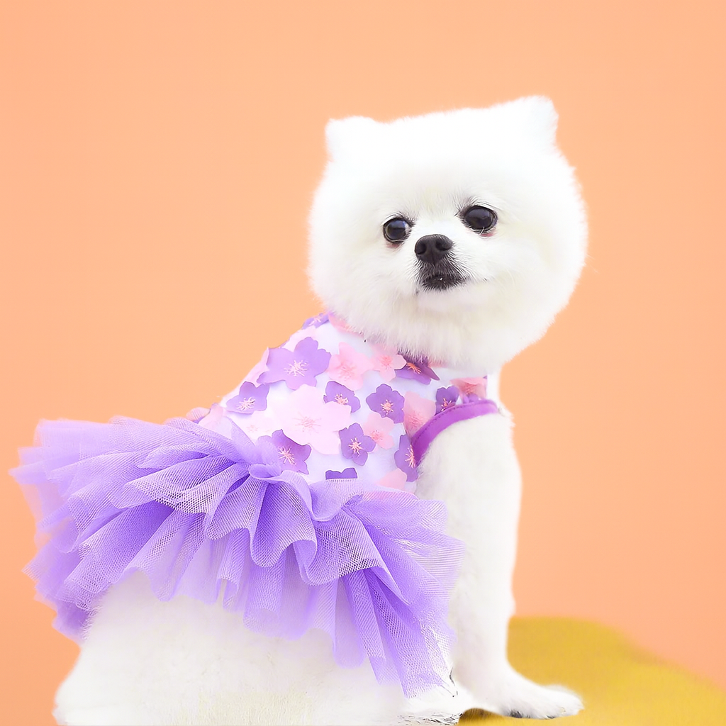 White dog wearing a purple floral dress with a tulle skirt on an orange background