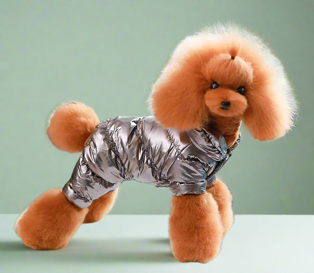 Winter Coat for Dogs 