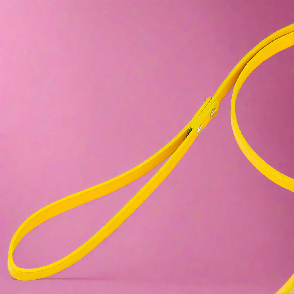 Yellow color dog leash