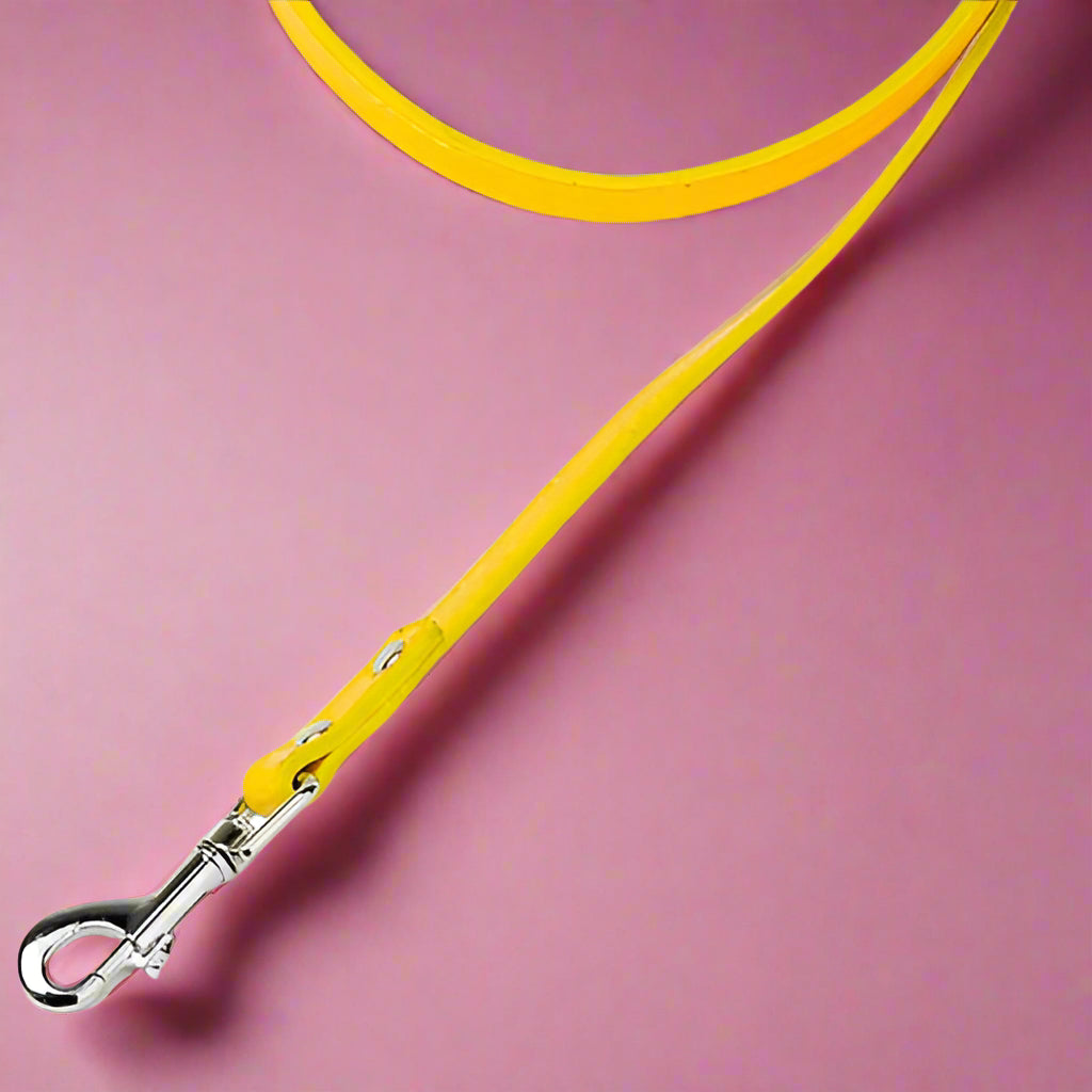 Yellow color pet leash 