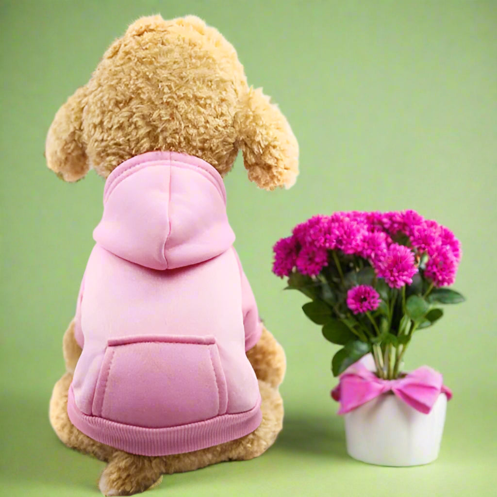 affordable dog clothing
Cozy Dog Sweater for Winter Walks
