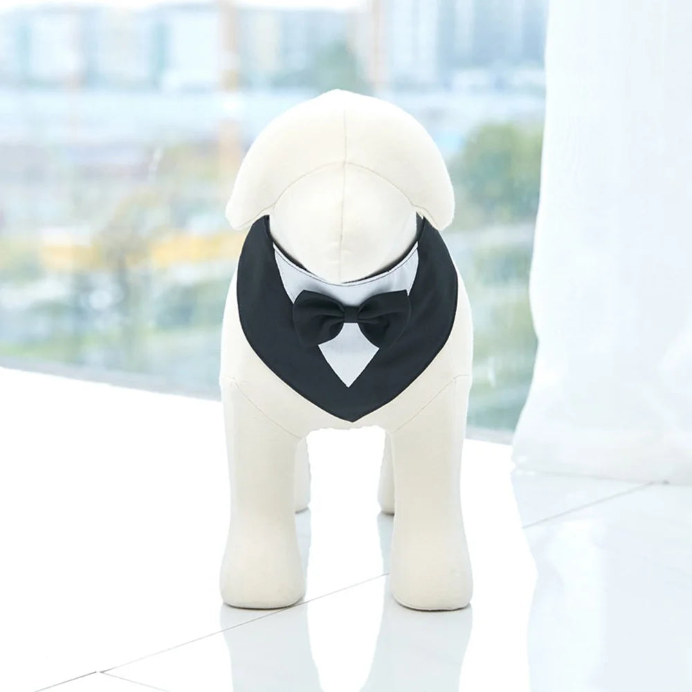 affordable fancy dog collars
 Formal Dog Bow Tie Collar for Weddings & Parties