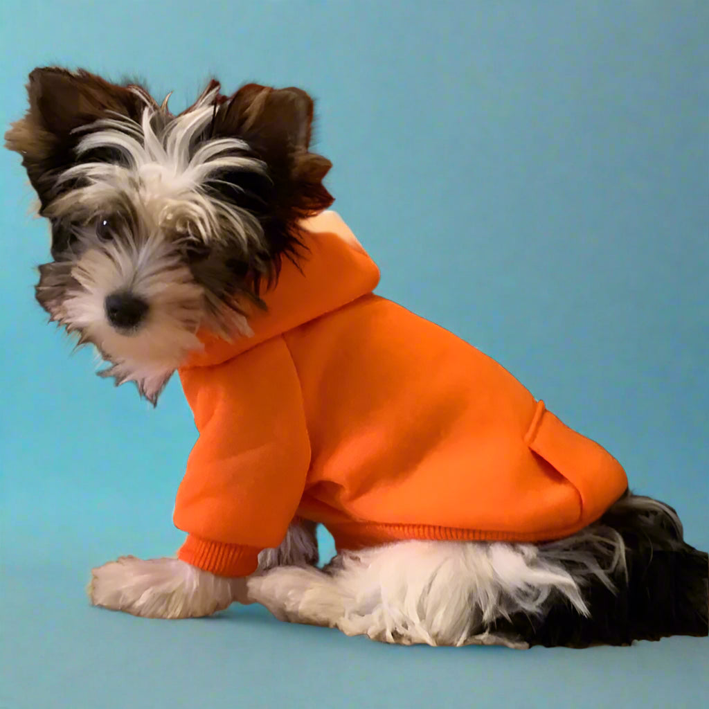 best dog clothes for winter
 Cozy Dog Sweater for Winter Walks
