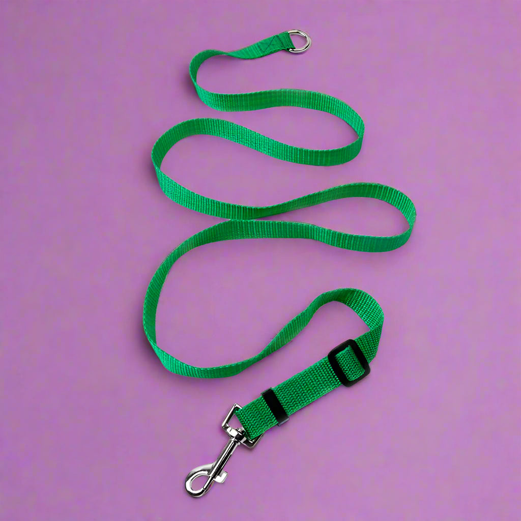 best dog leash for walking Durable Long Leash for Dog Training