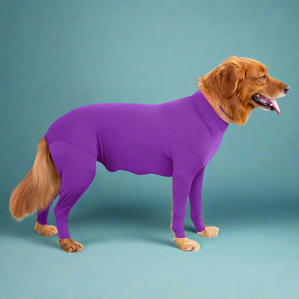 best site for dog clothes
 Anxiety-Calming Dog Jumpsuit Onesie