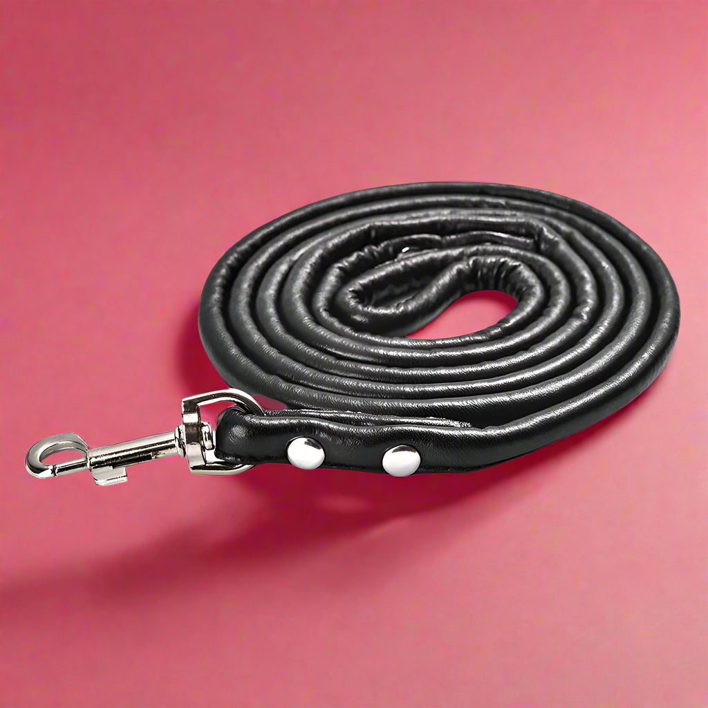 black Colorful PU Rolled Dog Leash for Small Breeds