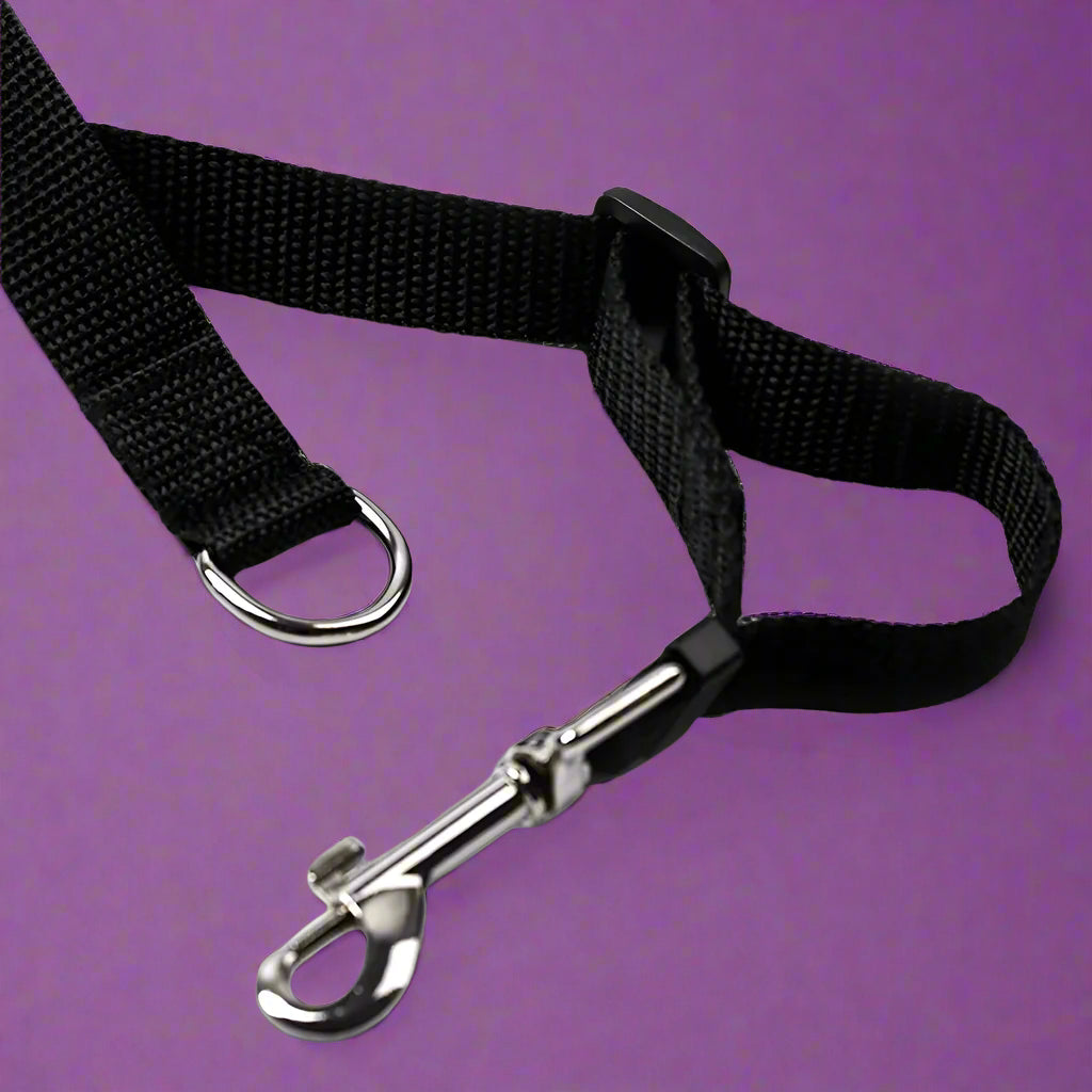 black Durable Long Leash for Dog Training