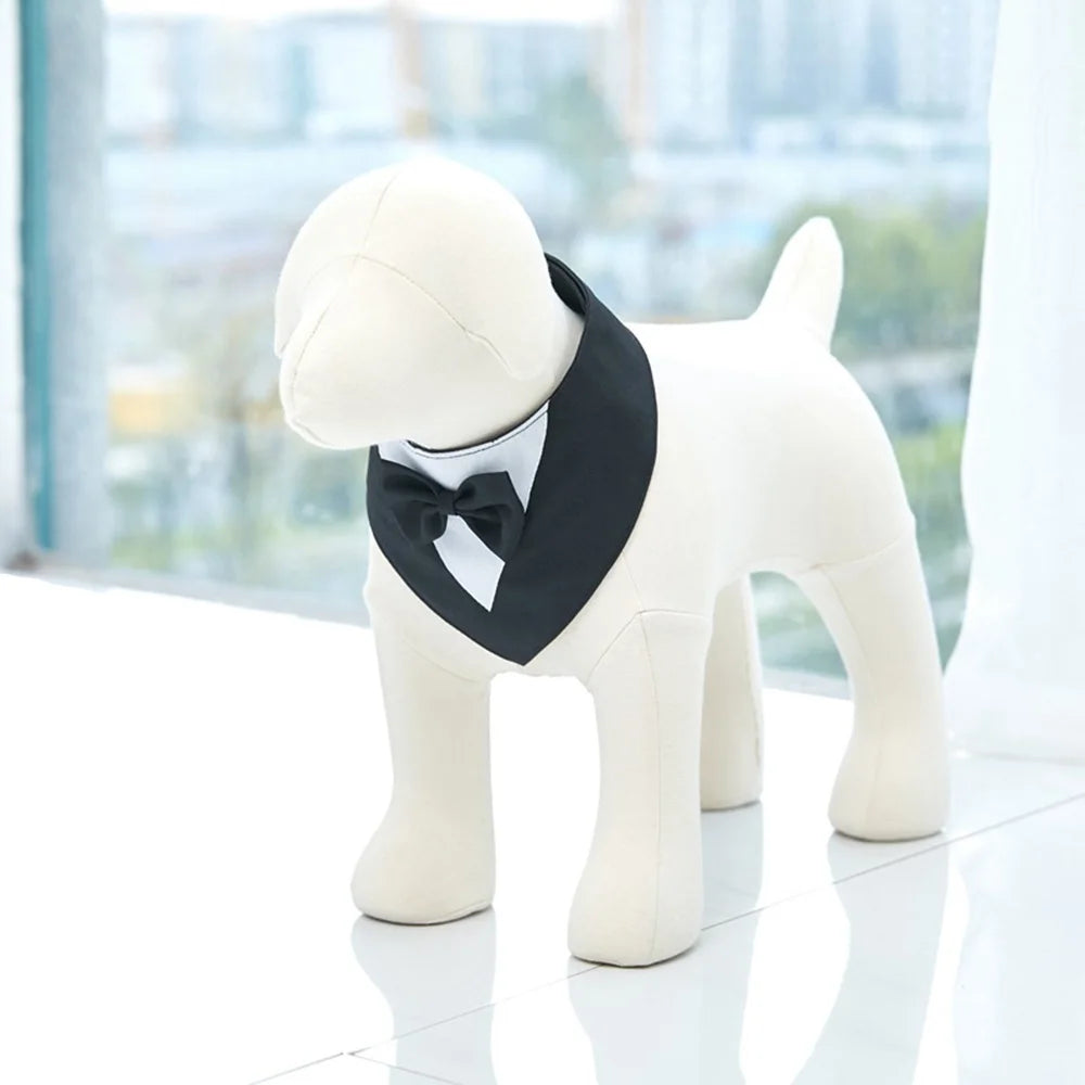 black Formal Dog Bow Tie Collar for Weddings & Parties