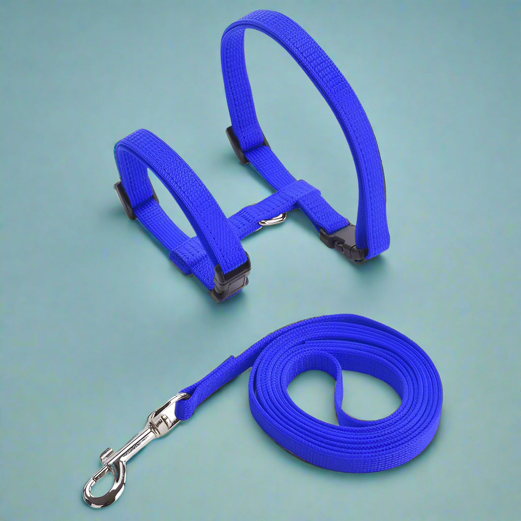 blue Adjustable Cat Harness Leash Set