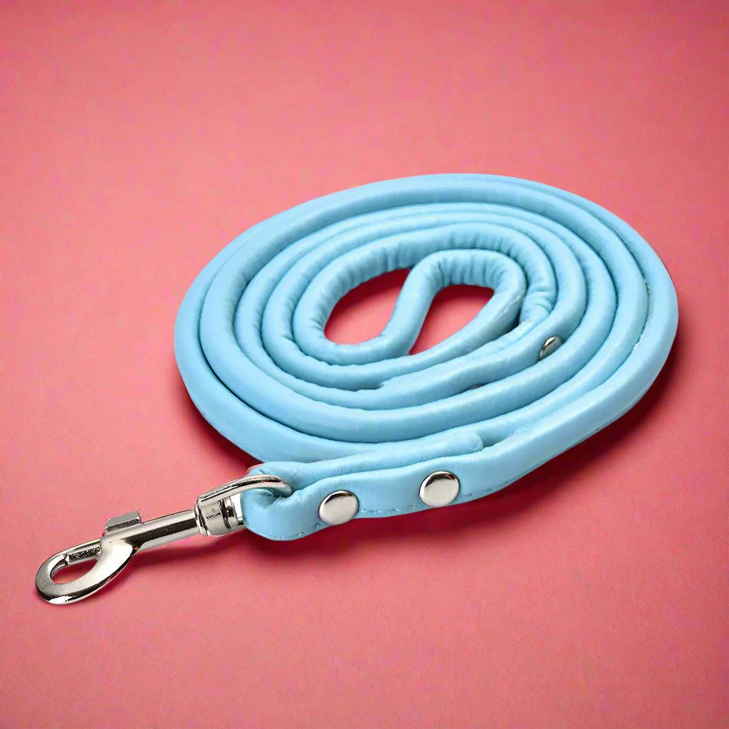 blue Colorful PU Rolled Dog Leash for Small Breeds