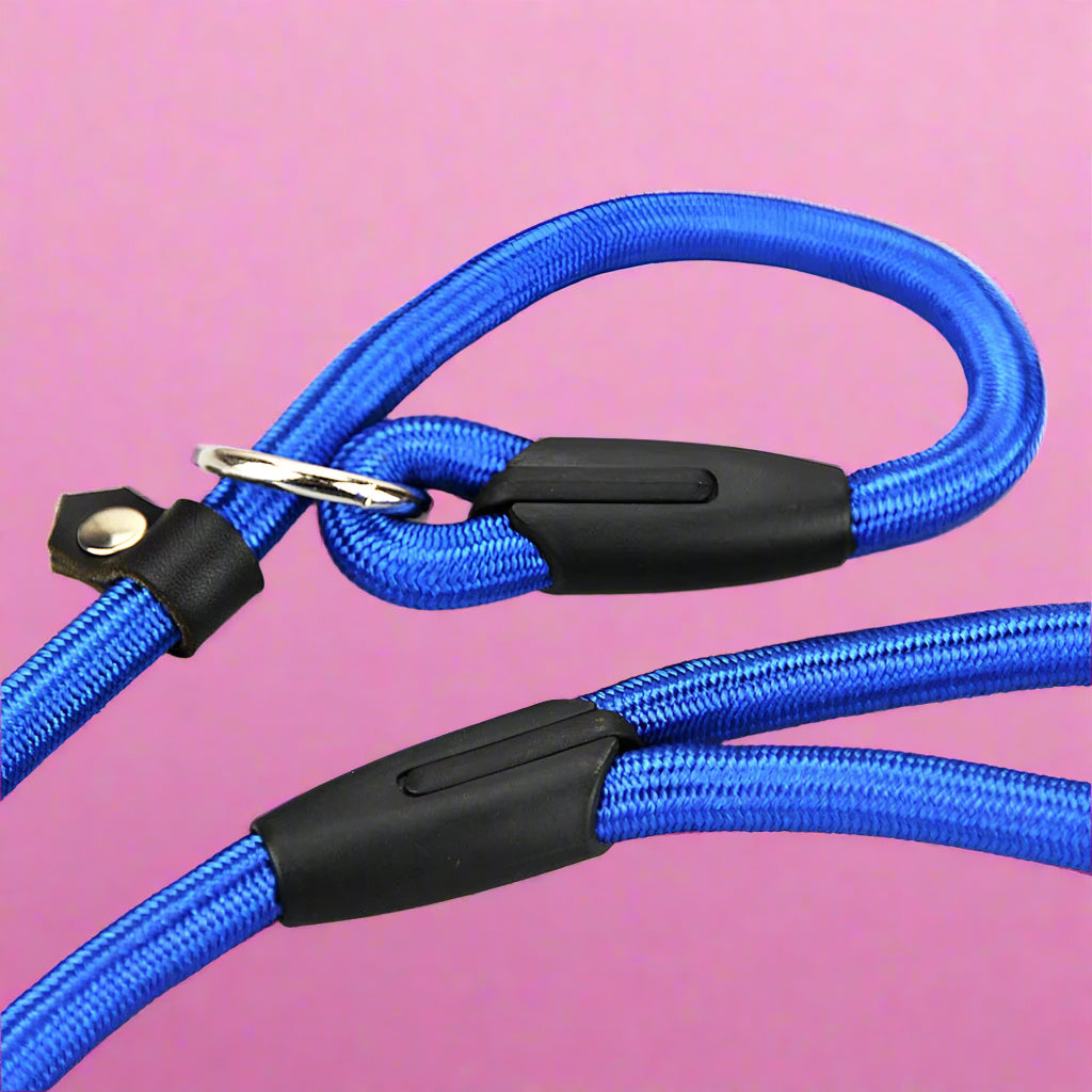 blue Nylon Dog Slip Lead Rope for Puppies