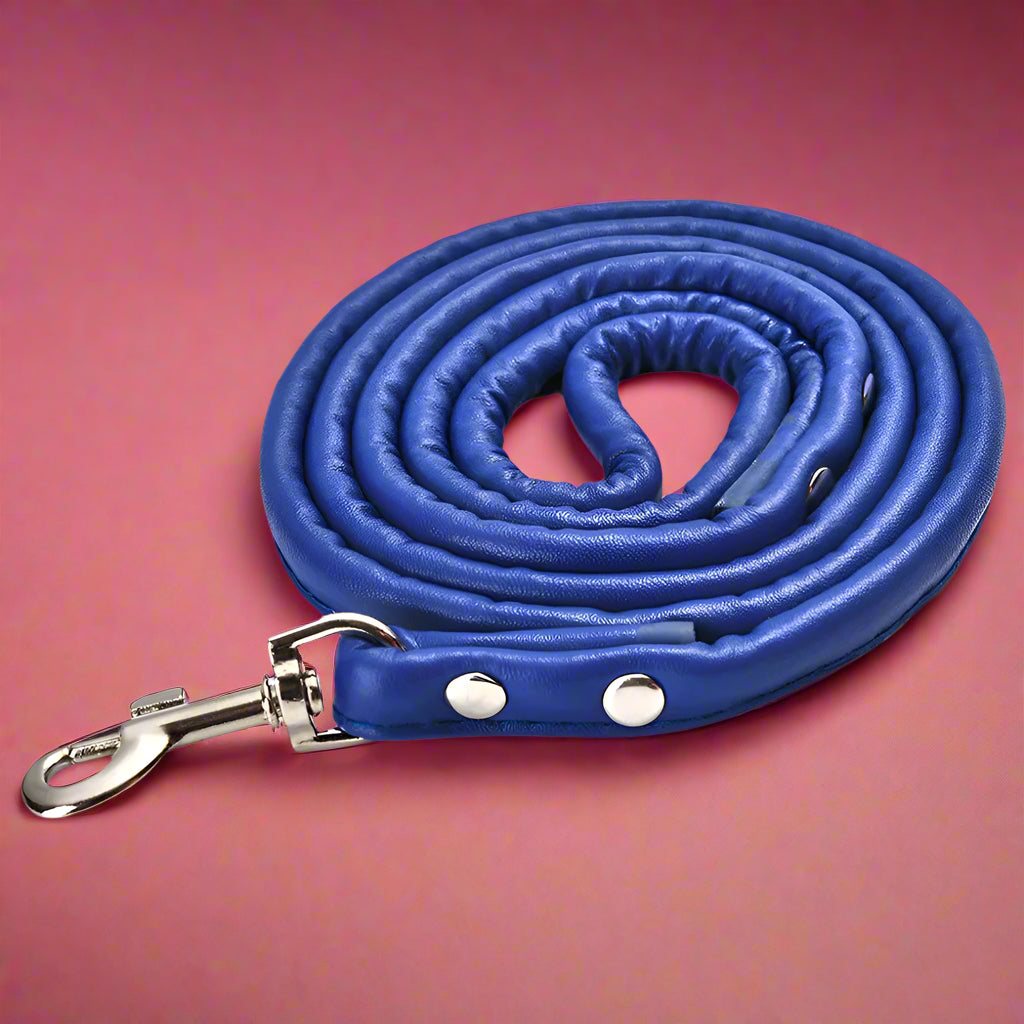 blue  PU Rolled Dog Leash for Small Breeds