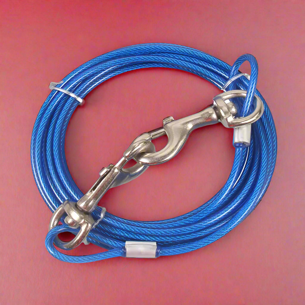 blue Strong Dog Cable Leash for Outdoor Use