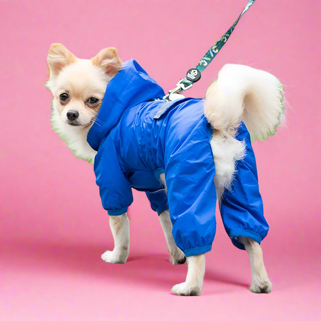blue Waterproof 4-Leg Dog Raincoat with Hood