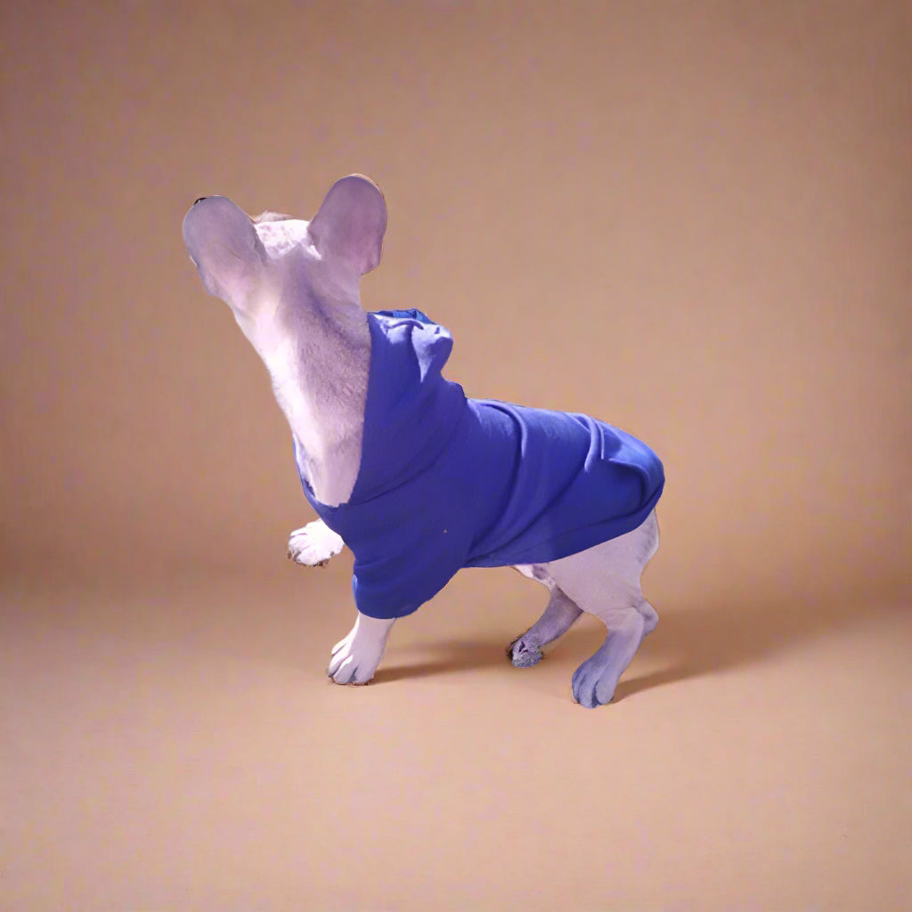 blue dog sweater for pet dogs