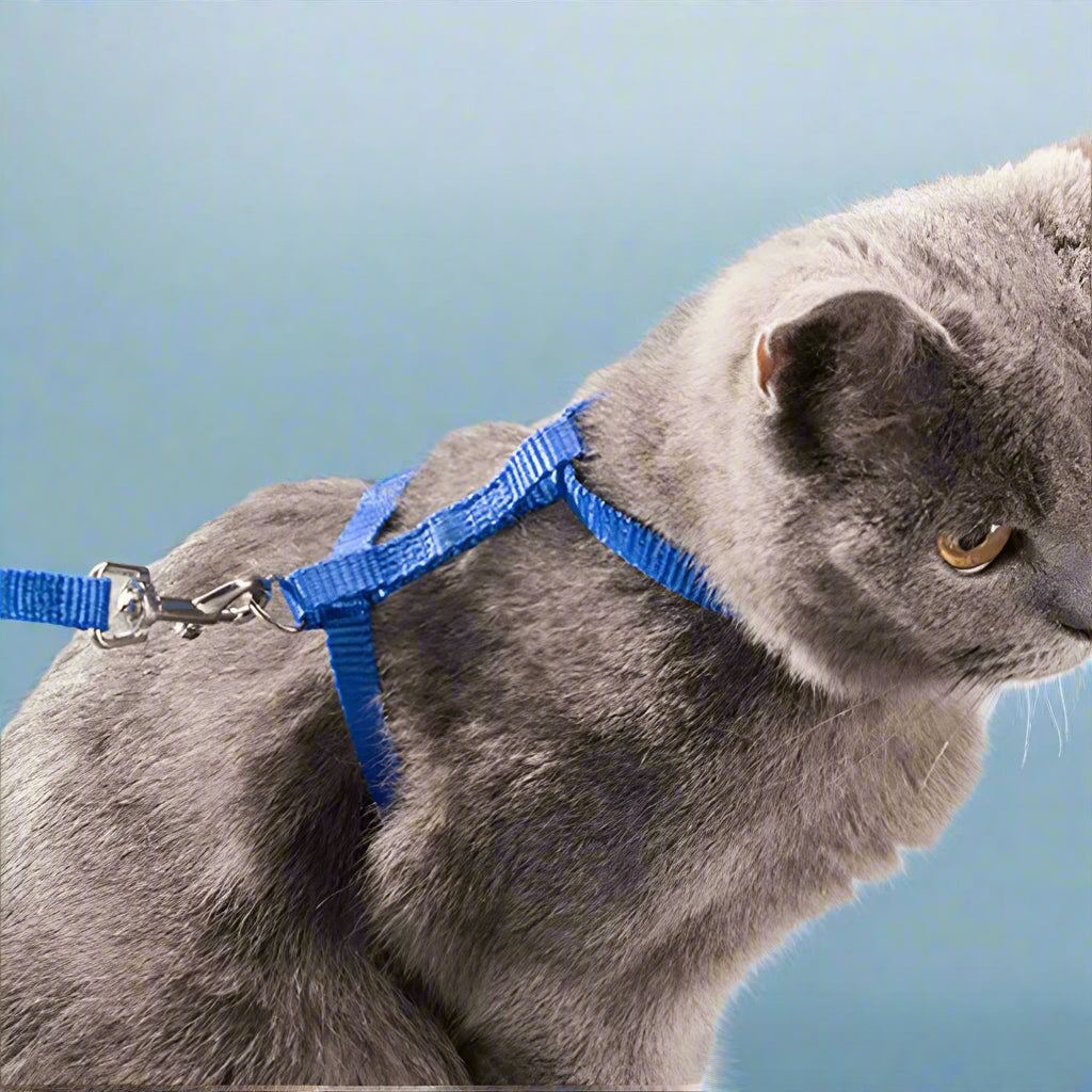 breathable pet harness
 Adjustable Cat Harness Leash Set