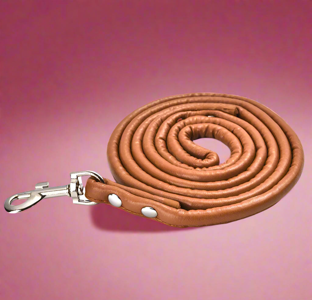 brown Colorful PU Rolled Dog Leash for Small Breeds
