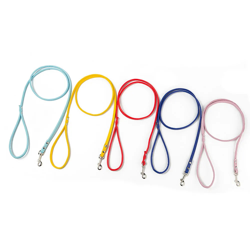 buy now Colorful PU Rolled Dog Leash for Small Breeds