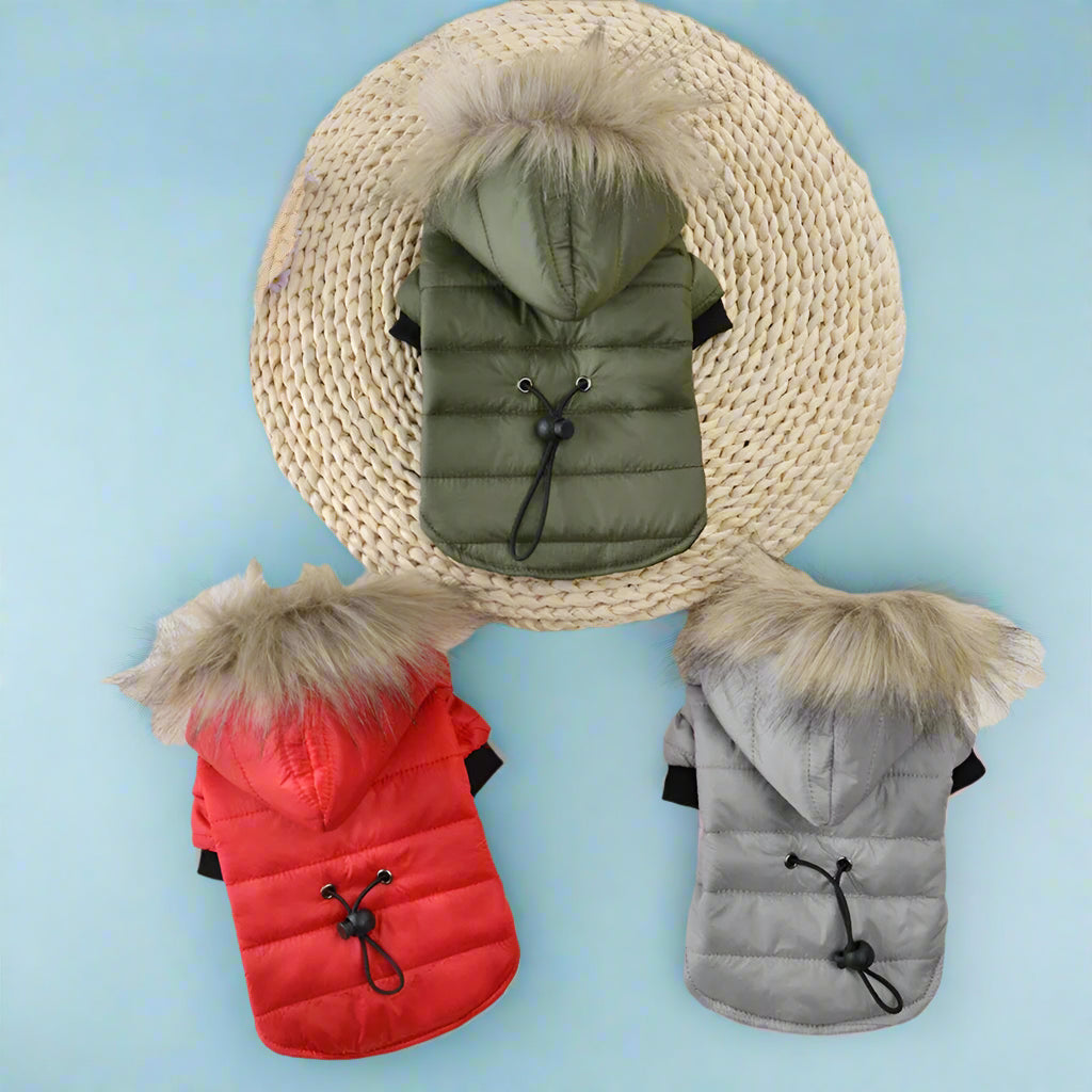 buy pet clothes online Warm Padded Winter Dog Coat
