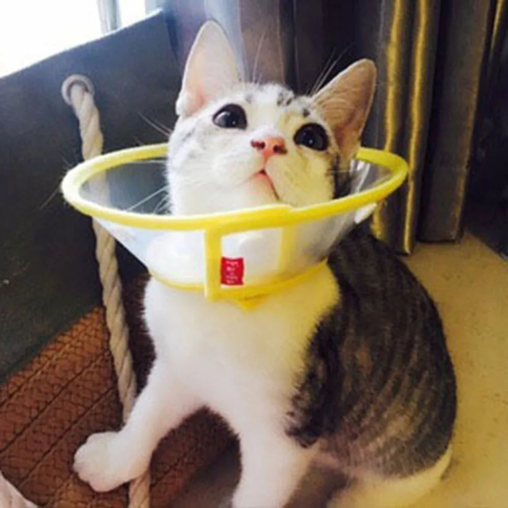 cat cone after surgery Soft Adjustable Pet Recovery Cone Collar for Dogs & Cats