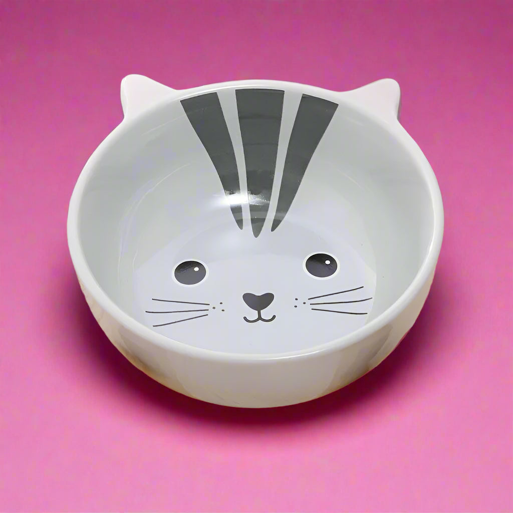 cat feeder
 Raised Ceramic Dog Bowl – No-Spill Cartoon Pet Dish