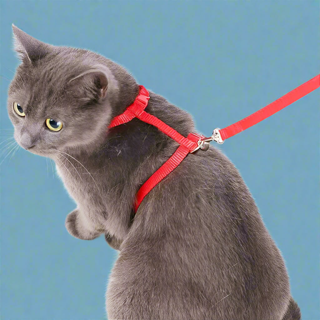 cat harness
 Adjustable Cat Harness Leash Set