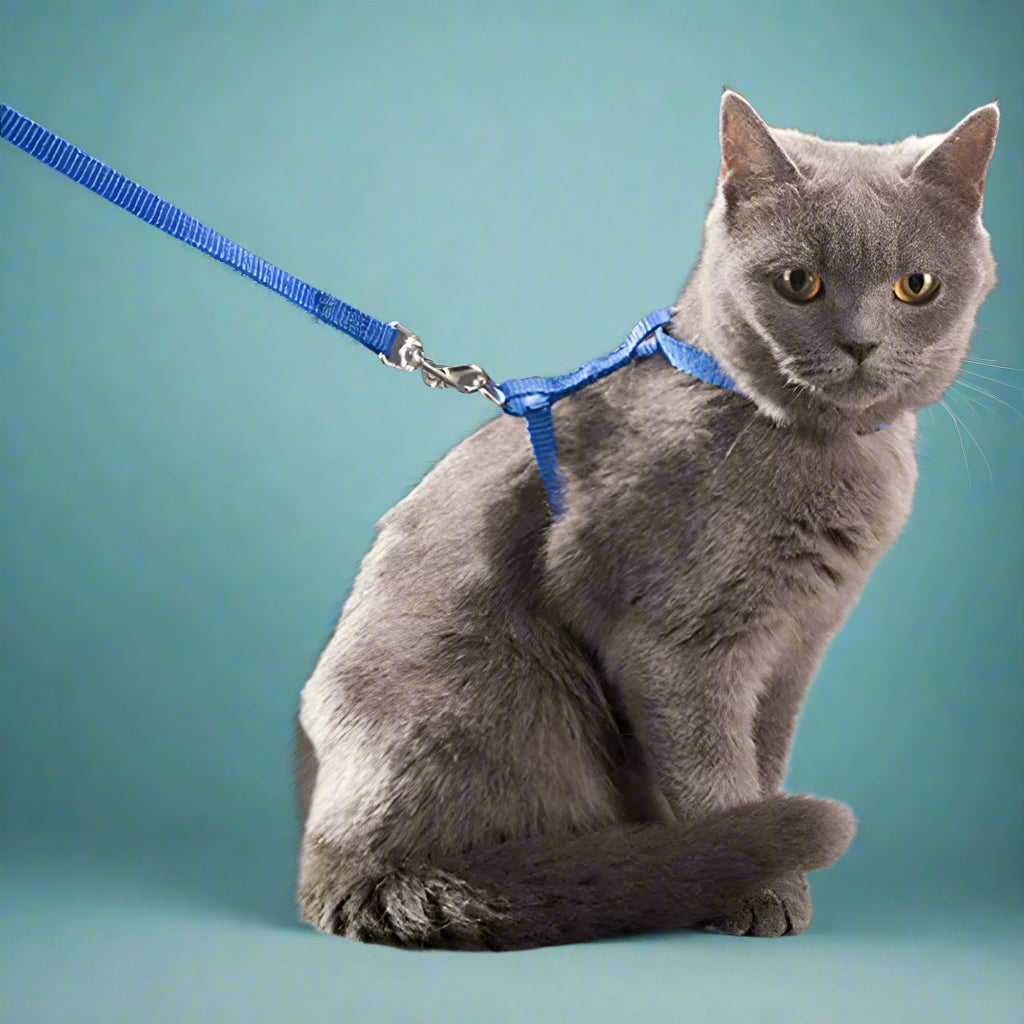 cat harness and leash set
 Adjustable Cat Harness Leash Set