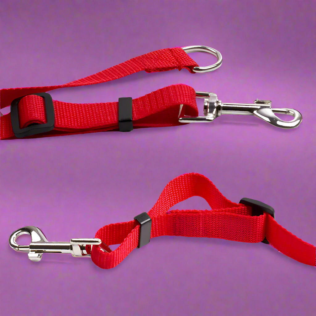 cheap dog leash
 Durable Long Leash for Dog Training 