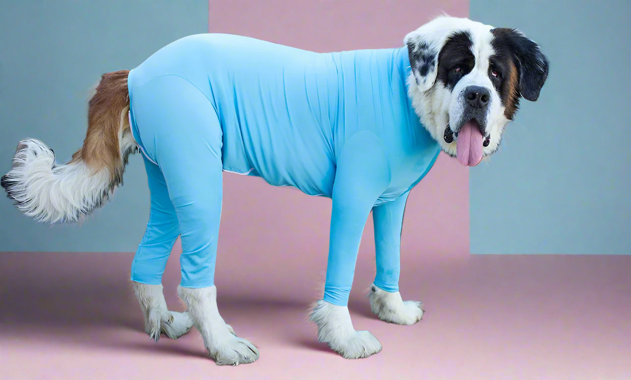 clothes for dogs
 Anxiety-Calming Dog Jumpsuit Onesie